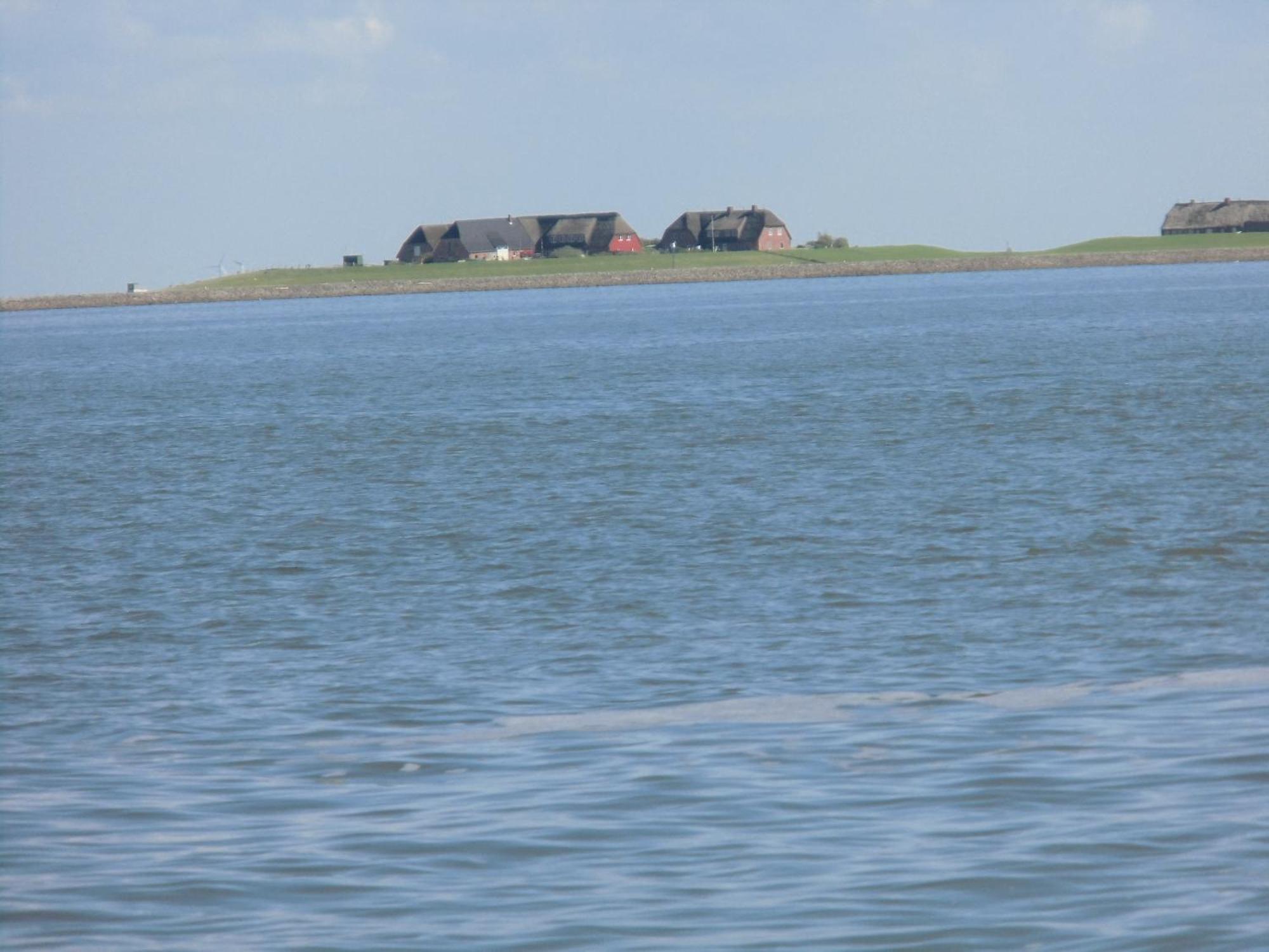 Haus Halligblick, Ferienwohnungen Am Wattenmeer, Whg Langenness Дагебюль Екстер'єр фото